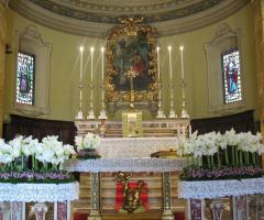 Matrimonio Amaryllis Metaflora