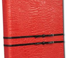 iDentici - Copertina Bellatrix