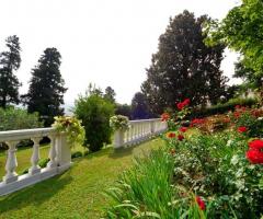 Villa Giani - Scorcio sul  una parte del parco