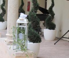 Ambrosia Eventi e Confetti a Savona