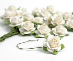 Soluzione per il confezionamento - Altromercato Store