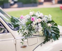 Matteo Della Casa di Dio - Fotografo