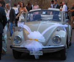 Allestimento auto sposi - Verdemania Eventi