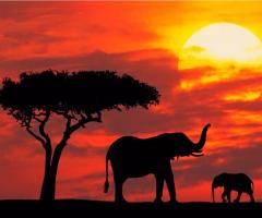 Il viaggio di Capitan Fracassa - Viaggio di nozze in Sudafrica