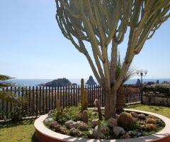 Giardino dell'Hotel Lachea ad Aci Castello (Catania)