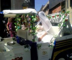 Dettaglio dell'ape calessino