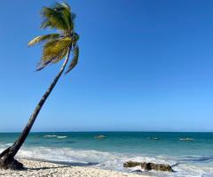 Costanza Demaldè CartOrange - Zanzibar