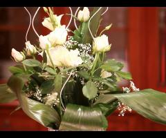 Wedding - Best Moon Video Production