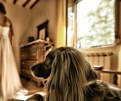 Emanuele Vignaroli  - I preparativi