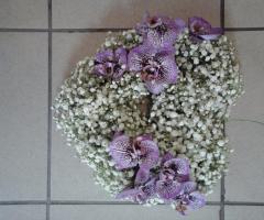 La Rosa Blu - Cuore orchidea