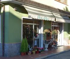 Fioreria Samaflor a Imperia