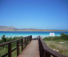 Viaggi indimenticabili - Il viandante viaggi e turismo