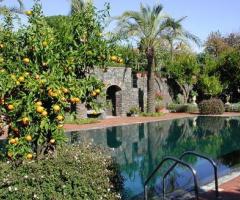 particolare dei giardini