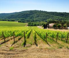 Camperchi S.A.R.L. - Vista panoramica di Camperchi