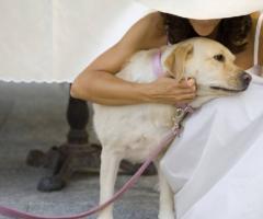 Federico Fasano Photographer - Fotografo per il matrimonio a Milano