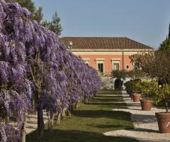 Giardino del glicine