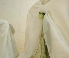 Wedding Planner per il matrimonio a Muggiò (Monza e Brianza)