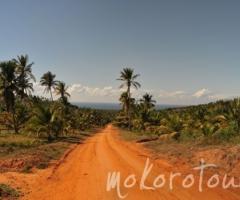 Viaggio di nozze in Mozambico