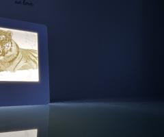 Antonio Filippone - illumina il tuo mondo