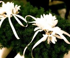 Organizzazione matrimoni a Roma - CupCake Eventi