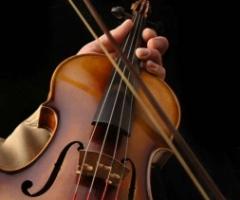 Violino per la musica per la cerimonia di matrimonio