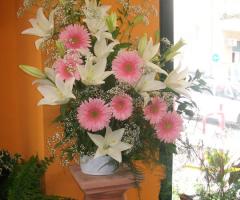 Composizione gerbere e lilium