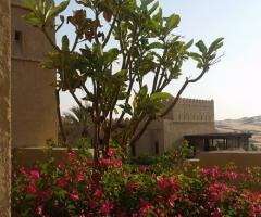 GemmaMed Travel - Location strepitose