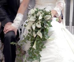 Images Moving Maria D'Angelo