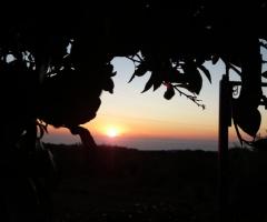 Boutique di Charme - L'alba