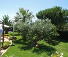 Location di matrimonio Bari