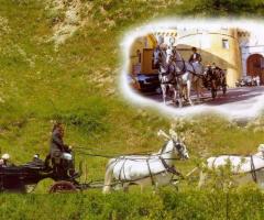 Gli sposi sulla carrozza trainata da una quadriglia di cavalli bianchi