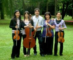 Componenti Ensemble Pegaso 