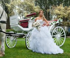 Matrimonio da favola - La carrozza