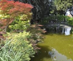 Laghetto della location di matrimonio