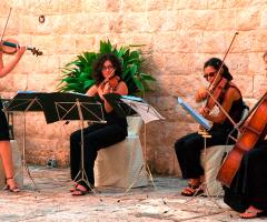 Mauro Liuzzi - Musica per il ricevimento di matrimonio