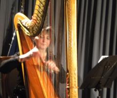 Arpa Sola - Armonia F.lli Siano