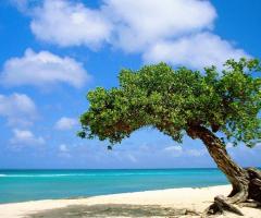 Il viaggio di Capitan Fracassa - Luna di miele ad Aruba