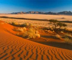 Valeria Lazzarini CartOrange - I paesaggi della Namibia
