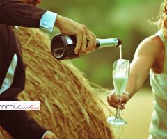 Il brindisi - Dimmi di SI - foto