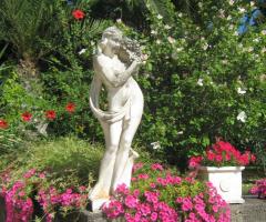 particolare giardino