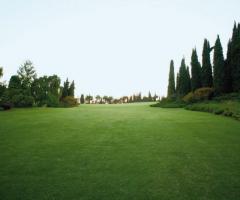 Sposarsi immersi nel verde