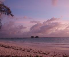 Daniela Ferrarini Consulente per viaggiare - Alba -Zanzibar