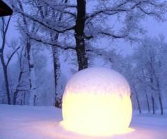 Tenuta Ladin - Il bosco della villa d'inverno