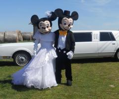 Pan di Zucchero - Il noleggio macchina