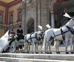 Nozze da favola - La carrozza con quattro cavalli