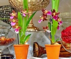 Fiori per la cerimonia di matrimonio