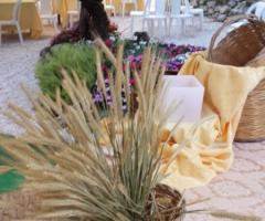 Agriturismo Al Regio Tratturo - Allestimento tavoli per il buffet di nozze