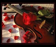 Violino - La vostra musica