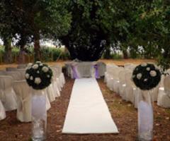 Cerimonia simbolica nel parco presso Villa Valcorba