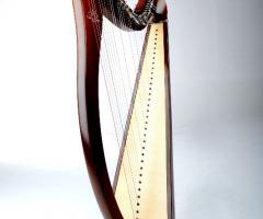 Jennifer Celtic Harp - Arpa Celtica